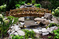 Water-Garden-200 Water Garden